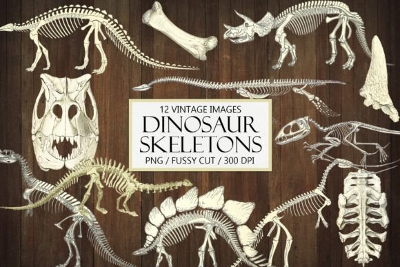Download Dinosaur Bones Fossil Clipart - Premium Resources